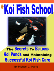 kiy koi pond plans koi fish care